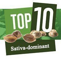 Top 10 Sativa-dominante