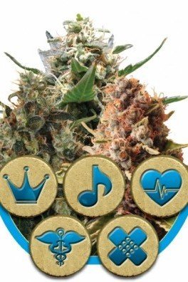 Medical Mix (Royal Queen Seeds)