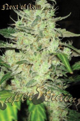 Next Of Kin (Super Strains)