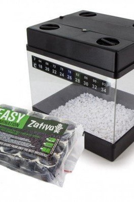 Kit per la Germinazione