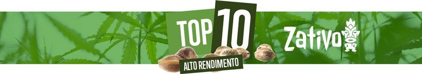 Top 10 Varietà ad Alto Rendimento