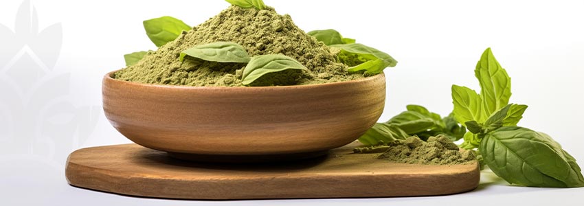 Come Dosare La Salvia Divinorum