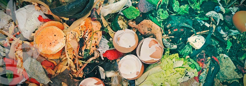 Come Fare Un Cumulo Di Compost