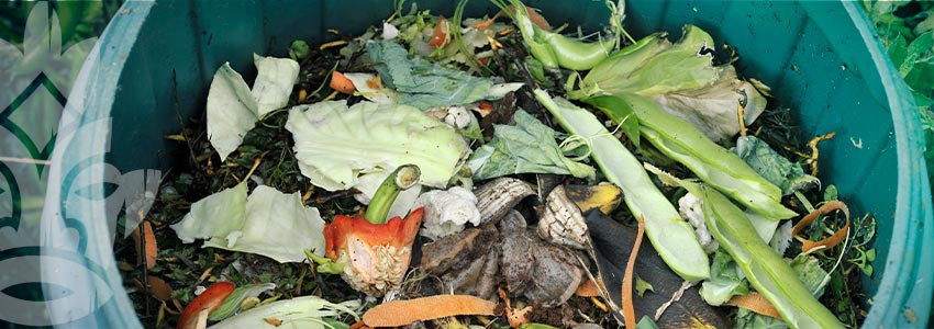 Come Fare Il Tè Di Compost E Pozioni Ricche Di Enzimi