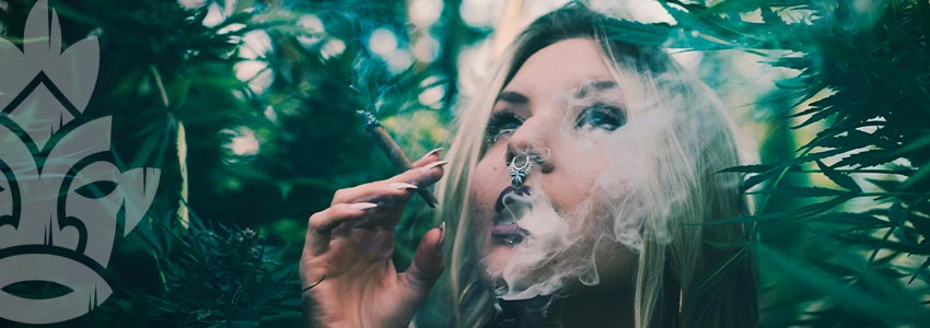 Perché Fumare Ganja A Basso Contenuto Di Thc?