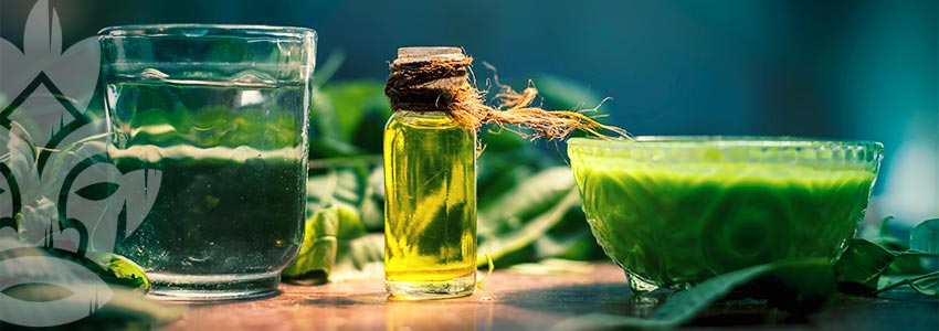 Per Cosa Viene Utilizzato L'Olio Di Neem?