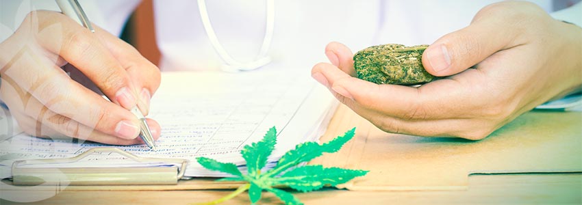 Come Posso Iniziare Ad Usare Marijuana Terapeutica?