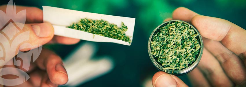 I Vantaggi Del Grinder Per La Cannabis