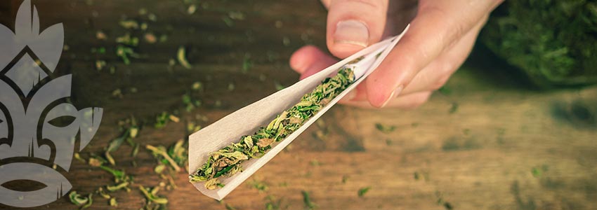 Per Quanto Tempo La Cannabis Resta Nell'Organismo?