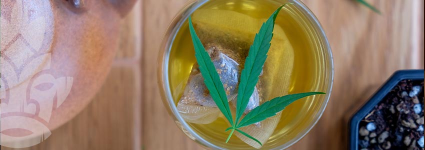 Come Preparare Il Tè Alla Cannabis