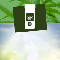 Cannabis terapeutica