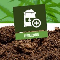 Fertilizzanti