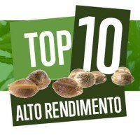 Top 10 Varietà Ad Alto Rendimento