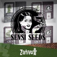 Redux Series della Sensi Seeds