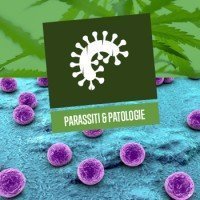 Parassiti e Patologie 