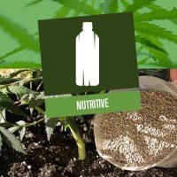 Sostanze nutritive per le piante di Cannabis