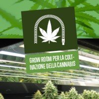 Grow Room per la coltivazione della Cannabis