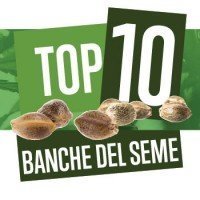 Top 10 Migliori Banche di Semi di Cannabis