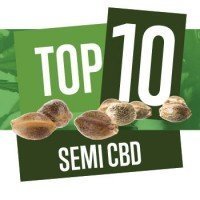 Top 10 Varietà CBD