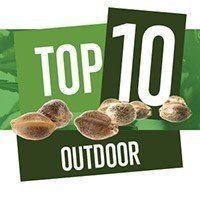 Top 10 Outdoor