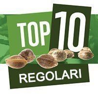 Top 10 Regolari