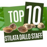 Top 10 Staff Picks