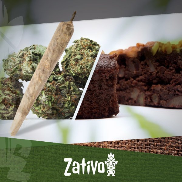 La Differenza Tra Mangiare E Fumare Cannabis - Zativo