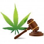 Richiesta al Governo Britannico la Regolarizzazione della Cannabis