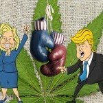 Elezioni Presidenziali USA: I 7 Candidati e le loro Posizioni sulla Cannabis