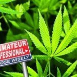 La Top 10 degli Errori da Principiante nella Coltivazione della Cannabis