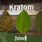 La Storia del Kratom