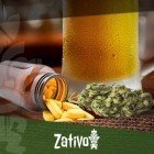 Marijuana Usata In Combinazione Con Alcool O Farmaci