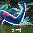 Effetti Della Marijuana Sull'Esercizio Fisico