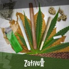 Differenze Tra Joint, Blunt e Spliff