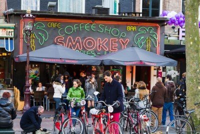 I Coffeeshop Olandesi Incassano un Miliardo di Euro all'Anno 