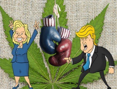 Elezioni Presidenziali USA: I 7 Candidati e le loro Posizioni sulla Cannabis