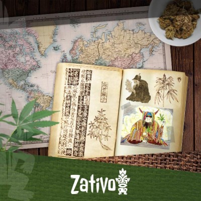 Le Origini e la Storia della Cannabis
