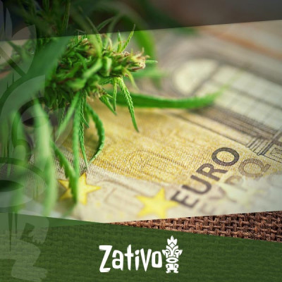 Come Coltivare Cannabis in Economia